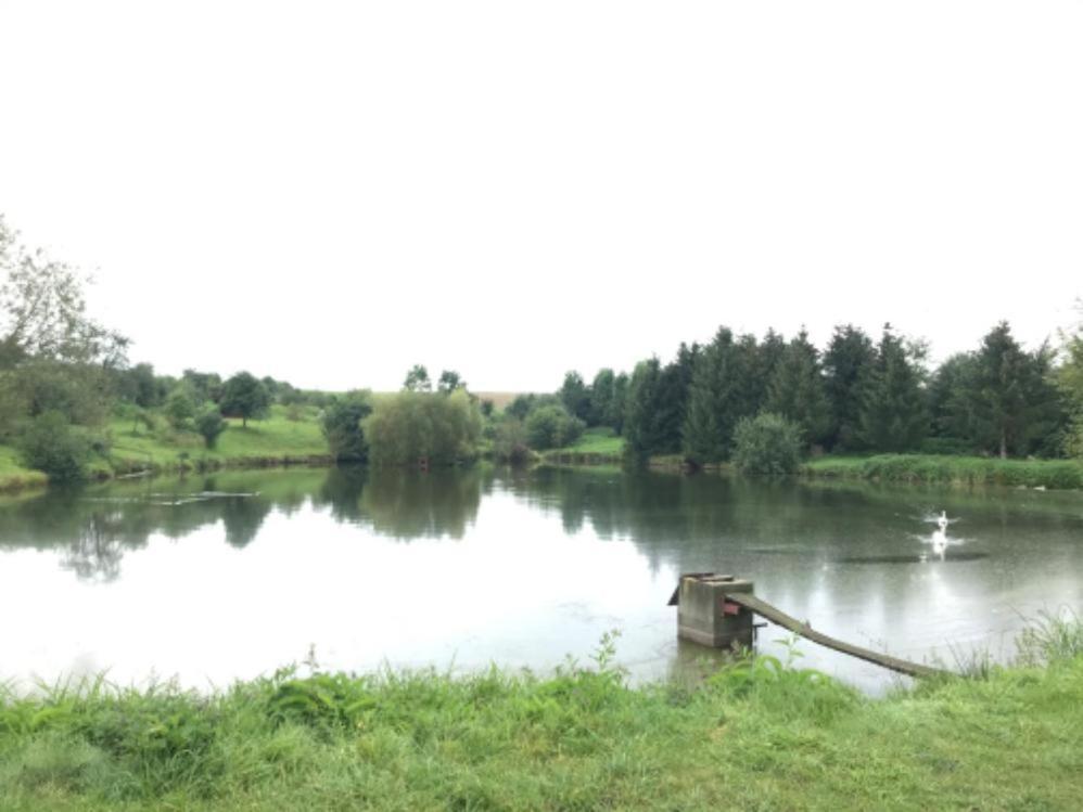 Apartmany Dolni Vitkov Chrastava Bagian luar foto