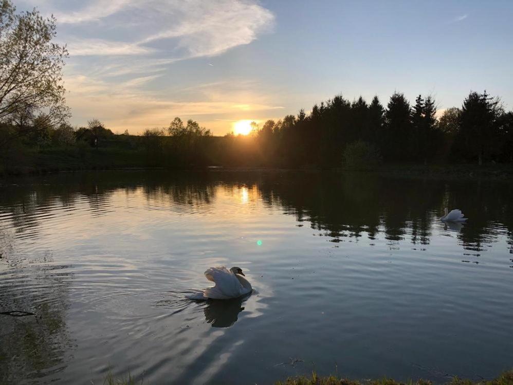 Apartmany Dolni Vitkov Chrastava Bagian luar foto